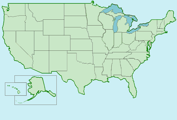 Us Map States Only